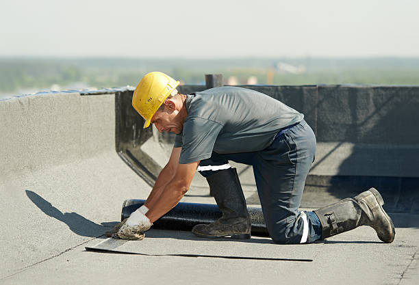 Best Insulation Removal  in Stanfield, NC