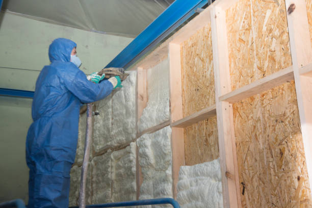 Best Energy-efficient Insulation  in Stanfield, NC
