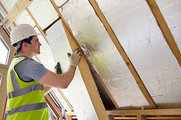 Best Cellulose Insulation  in Stanfield, NC